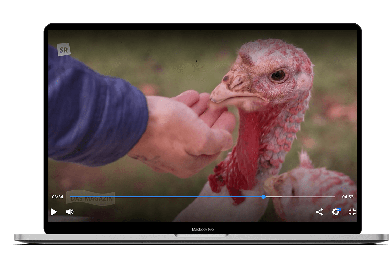 balus-arche-liebenswert-sr-beitrag balus-arche-liebenswert-sr-beitrag